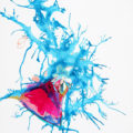 "micro dialogue #1" 2020 330x530